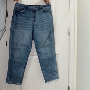 American Eagle Curvy Mom Jean